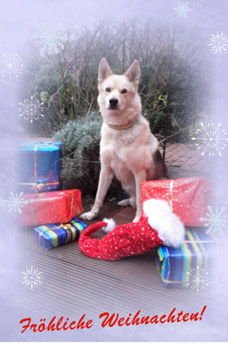 Fröhliche Weihnachten! 