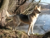 2012-02-01_wald_und_see_h_20120201_022-jpg-small_